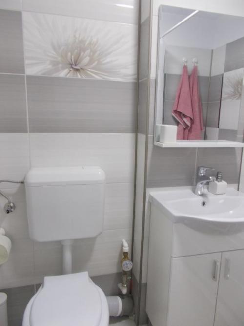 Apartament Tanya Тирговіште Екстер'єр фото